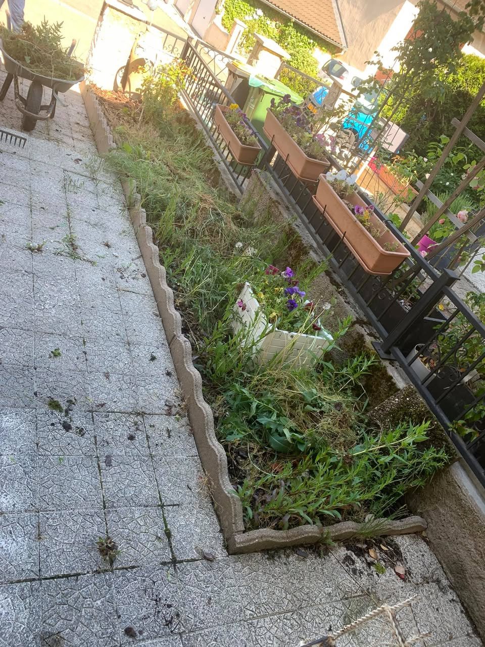 Avant après gravier avant